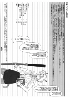 [NP Virus Jouryuujo] Mithman Report 2008 (Final Fantasy XI)(C74) - page 2