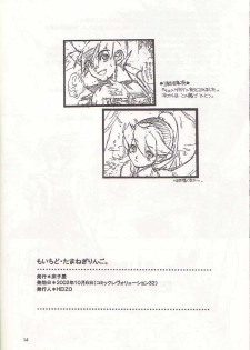 (CR32) [Toko-ya (Kitoen)] Mo Ichido Tamanegi Ringo. (Breath Of Fire III) - page 13