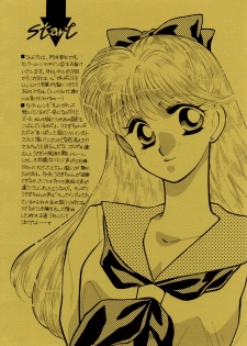 Sailor Moon JodanJanaiyo - page 31