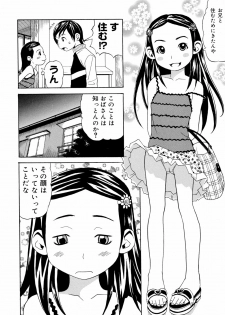 [Minami Katsumi] Imouto Mankai - page 41