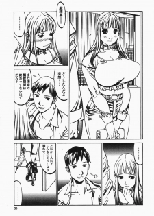 [Shiromi Kazuhisa] Naburikko FraKctured Black - page 35