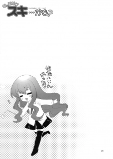 (C74) [SimaSima System (Nagisawa You)] Chotto Dake Suki... Kamo? (Zero no Tsukaima) - page 24