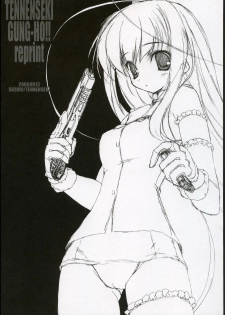 (C70) [Tennenseki (Suzuri)] TENNENSEKI GUNG-HO!! reprint (Pixel Maritan) - page 1