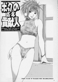 (CR29) [Saigado] Boku no Seinen Kouken-nin 3 - page 2
