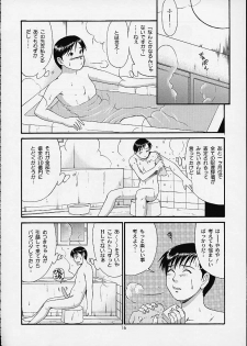 (C61) [Saigado] Boku no Seinen Kouken-nin 4 - page 15