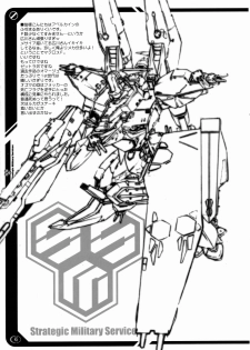 (C74) [OVACAS, Abellcain (Hirokawa Kouichirou, Fujimaru Arikui)] S.M.S Niyoukoso! (Macross Frontier) - page 44