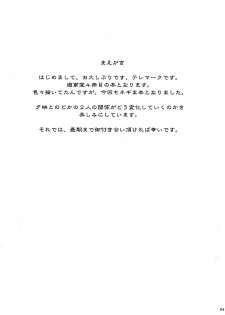 (C71) [Yuuhodou (Telemark)] Ayase Yue to Miyazaki Nodoka no Chijou. (Mahou Sensei Negima!) - page 3