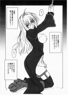 (SC41)[Oretachi Misnon Ikka (Misnon the Great)] Tsukiumi Hon (Sekirei) - page 2