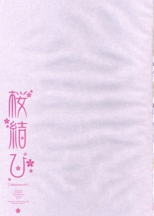 (COMIC1) [CHRONOLOG, D.N.A.Lab., ICHIGOSIZE (Miyasu Risa, Natsume Eri, Sakurazawa Izumi)] Sakuramusubi (Gintama) - page 2