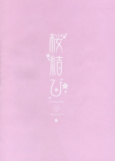 (COMIC1) [CHRONOLOG, D.N.A.Lab., ICHIGOSIZE (Miyasu Risa, Natsume Eri, Sakurazawa Izumi)] Sakuramusubi (Gintama) - page 5