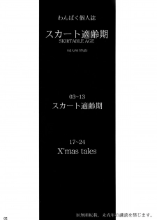 (C55) [Group Hinoran (Wang-Pac)] Skirt Tekireiki | Skirtable age - page 4
