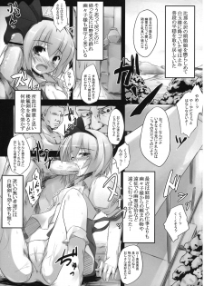 (C74) [Garakuta TEIKOKU, Hannama (Kou, Soine)] SealingCherish (Touhou Project) - page 5