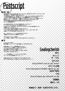 (C74) [Garakuta TEIKOKU, Hannama (Kou, Soine)] SealingCherish (Touhou Project) - page 26