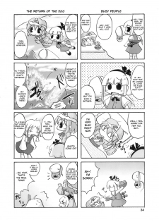 (C74) [Albatross (Mei, Nikusyo)] Yosuzume Junjun ~Omorashi Misuchi~ (Touhou Project) [English] [desudesu] - page 34