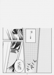 (SC31) [Montage (Takato Suzunosuke)] Kore ga Watashi no Goshujin-sama Seihai Sensou Neshougatsu Hen (Fate/stay night) - page 26