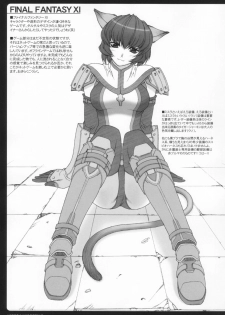 (C65) [PHANTOM CROSS (Miyagi Yasutomo)] Mithran Spotting (Final Fantasy XI) [English] - page 22