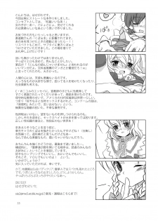 (C74) [Vitamin Gohan (Hasegawa Keita)] Osonae Gohan (Touhou Project) - page 33