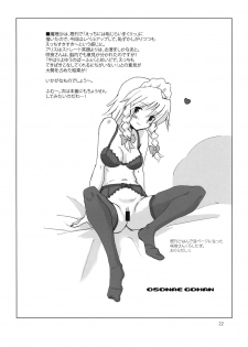 (C74) [Vitamin Gohan (Hasegawa Keita)] Osonae Gohan (Touhou Project) - page 22