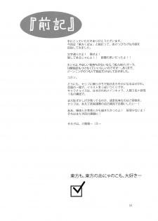 (C74) [Vitamin Gohan (Hasegawa Keita)] Osonae Gohan (Touhou Project) - page 4