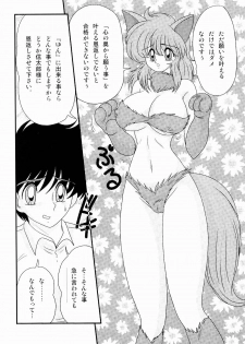 [Kamitou Masaki] Kaiun? Shoufuku! Kitsunekko Yun - page 12