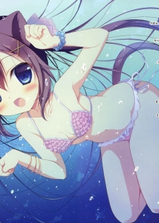 (Mimiket 32) [CANVAS+GARDEN (Miyasaka Miyu)] Neneka to Gorogoro Nyan Nyan ♪ [Chinese] [绅士仓库汉化] - page 3