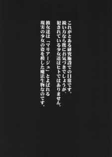 (C86) [NextPreview (MIA, Kasuki Masato)] X Report -Ketsujitsu- (Mahou Shoujo Lyrical Nanoha) - page 12
