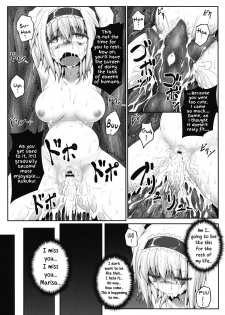 (Reitaisai 10) [e☆ALI-aL! (Ariesu Watanabe)] Nozomiusu | Faint Hope (Touhou Project) [English] - page 20