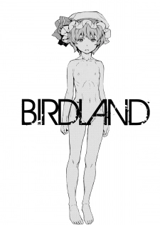 (Reitaisai 9) [Egao de Bouryoku (mogg)] BIRDLAND (Touhou Project) [Chinese] [CE家族社] - page 4
