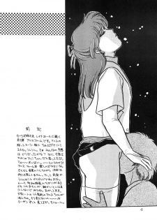 (C35) [Secret Society M (Kitahara Aki)] ANICE - Toki no Hanataba (Sonic Soldier Borgman) - page 4