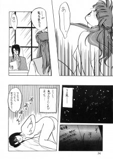 (C35) [Secret Society M (Kitahara Aki)] ANICE - Toki no Hanataba (Sonic Soldier Borgman) - page 35
