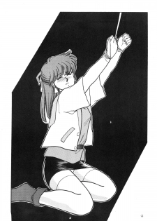 (C35) [Secret Society M (Kitahara Aki)] ANICE - Toki no Hanataba (Sonic Soldier Borgman) - page 6