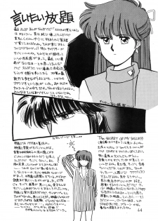 (C35) [Secret Society M (Kitahara Aki)] ANICE - Toki no Hanataba (Sonic Soldier Borgman) - page 45