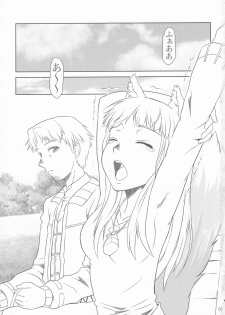 [Fetish Children (Apploute)] OoKami to Kodoku na Shippo (Spice and Wolf) - page 2