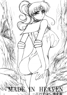 (C85) [BLACK DOG (Kuroinu Juu)] MADE IN HEAVEN -JUPITER- Complete Edition (Sailor Moon) [Chinese] - page 3