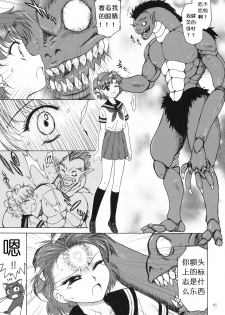 (C81) [BLACK DOG (Kuroinu Juu)] SUBMISSION-R RE MERCURY (Bishoujo Senshi Sailor Moon) [Chinese] - page 15