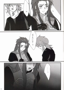 [hoimi (Hoimin)] An unnecessary toy (Tales of the Abyss) - page 10