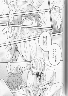 (C75) [DOG VILLE (Mitsumura)] Koi ha itsudemo Hurricane (Togainu no Chi) - page 23