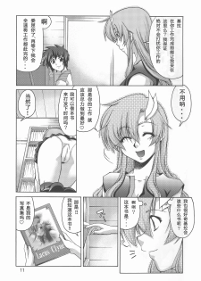 (C70) [GOLD RUSH (Suzuki Address)] Thank you! From Gold Rush (Gundam SEED DESTINY) [Chinese] [graviton个人汉化] - page 11