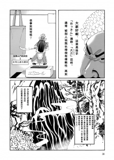 (C72) [GOLD RUSH (Suzuki Address)] A Diva of Healing II (Gundam SEED DESTINY) [Chinese] [graviton个人汉化] [Decensored] - page 28