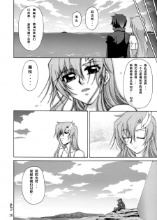 (C72) [GOLD RUSH (Suzuki Address)] A Diva of Healing II (Gundam SEED DESTINY) [Chinese] [graviton个人汉化] [Decensored] - page 24