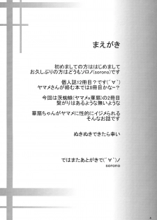 (C87) [Soronosanchi (sorono)] Ibara Kumo Ni (Touhou Project) - page 3