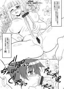(C77) [Mutsuya (Mutsu Nagare)] Sugoi Ikioi 26 (Saki) - page 3
