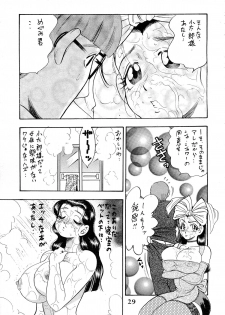 [Bijogi Junction (Bijogi Junction)] Hime Sakunyuu - page 29