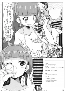 (SHT2015 Haru) [GOD Ryokutya (Bu-chan)] Kirara kira (Go! Princess PreCure) - page 17