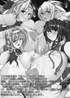 [Pintsize (Tetsubirei)] Conquistadores III ~ Saigo no Seisen ~ [Digital] - page 27