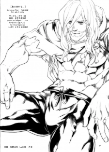 (C87) [Pomatobatake (Kin29 Nitaro)] Anohikara (Avengers, The Mighty Thor) - page 25
