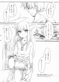 (C76) [Hinaprin (Ikuta Takanon)] Ookami no Soukessan (Spice and Wolf) - page 40