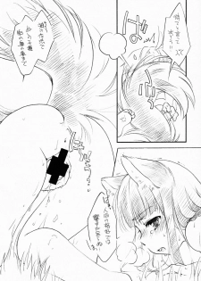 (C76) [Hinaprin (Ikuta Takanon)] Ookami no Soukessan (Spice and Wolf) - page 14