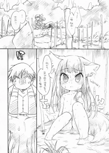 (C76) [Hinaprin (Ikuta Takanon)] Ookami no Soukessan (Spice and Wolf) - page 50