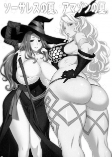 (C80) [OZONE (Marumiya)] Sorceress no Natsu, Amazon no Natsu. (Dragon's Crown) - page 3